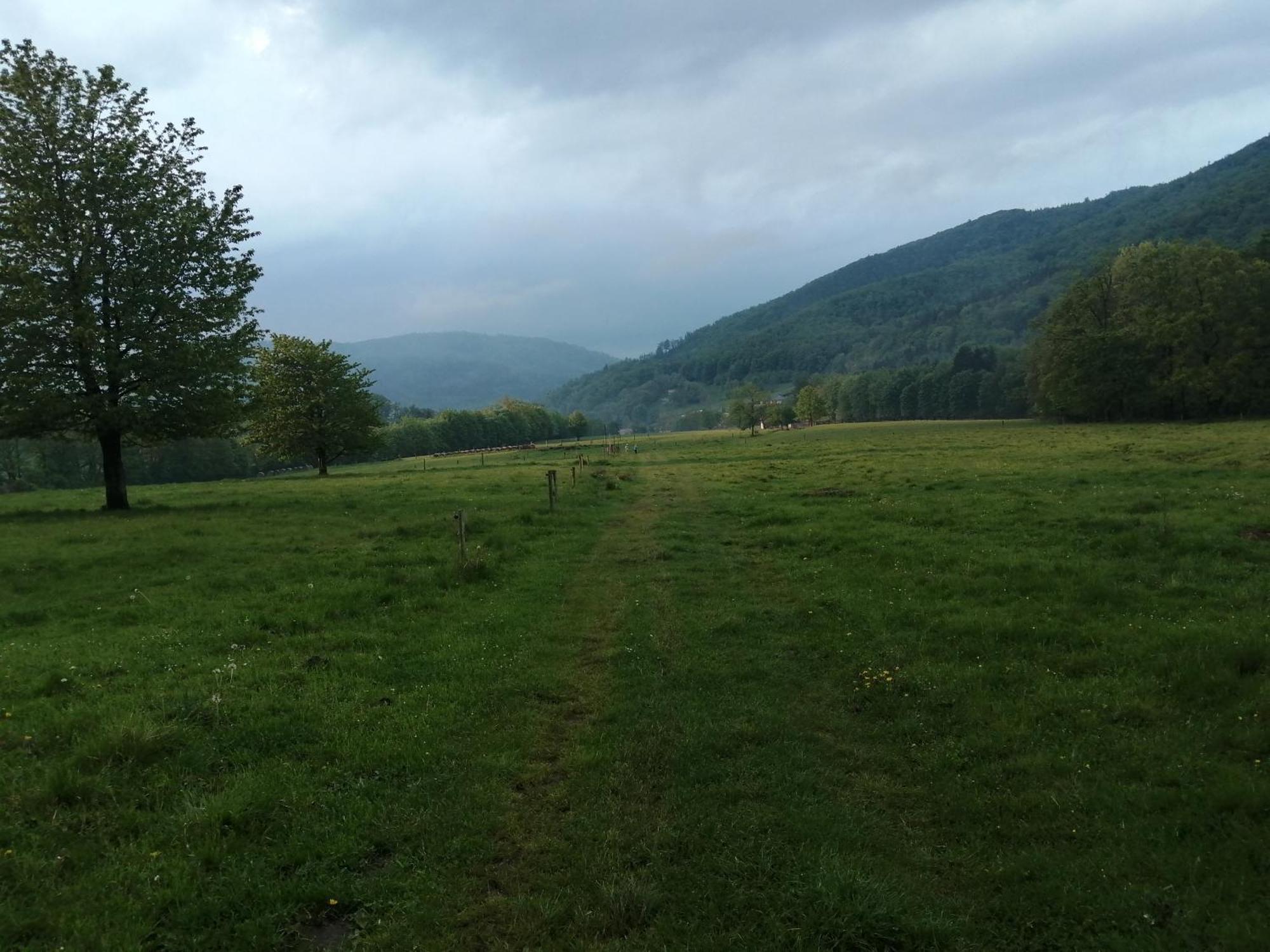 Domek W Gorach Sowich Пешице Экстерьер фото